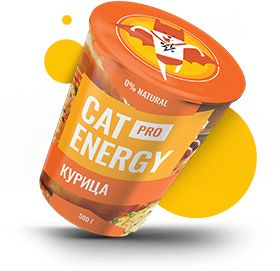 cat-energy food